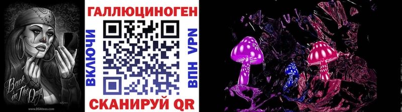 mega ссылки  купить   Краснодар  Галлюциногенные грибы Psilocybine cubensis 