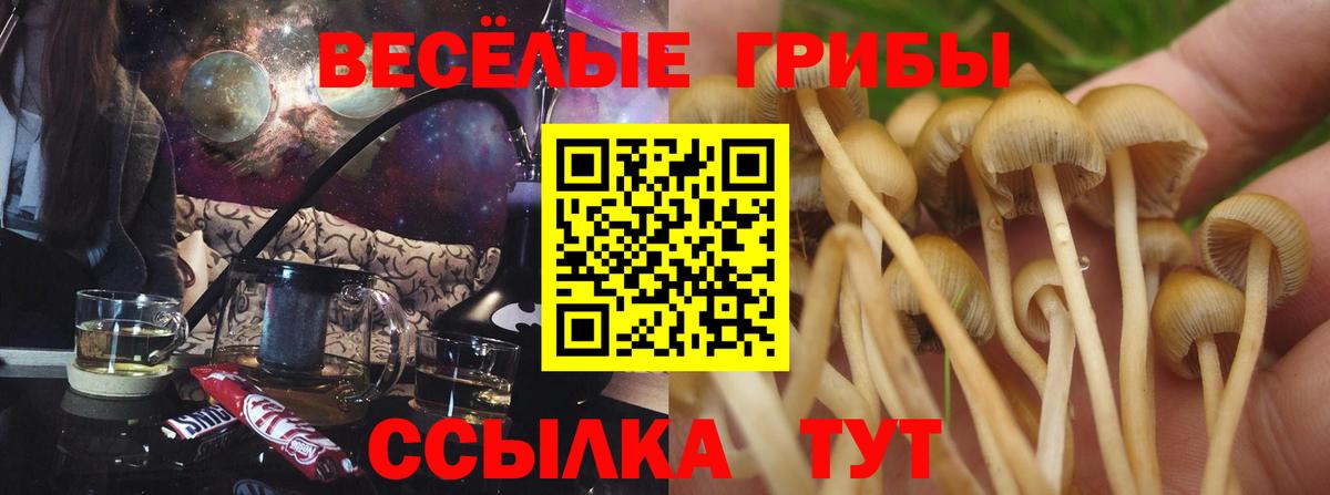 Галлюциногенные грибы ЛСД  Вход с VPN  Краснодар 