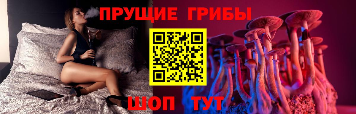 Галлюциногенные грибы мухоморы Краснодар